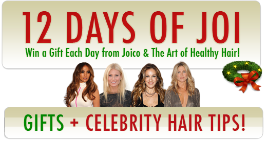 12 Days of Joi Giveaway ends 12/20 12_days_of_joi